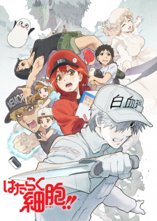 Hataraku Saibou!! (Dub)